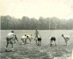 Football_1950_s.jpg