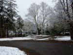 Fall Snow