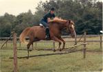 Riding_C.jpg