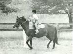 Riding_E.jpg